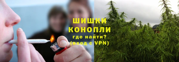 хмурый Дмитров