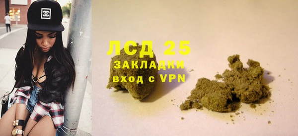 хмурый Дмитров