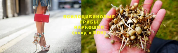 ГАЛЛЮЦИНОГЕННЫЕ ГРИБЫ Новодвинск