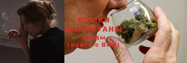хмурый Дмитров