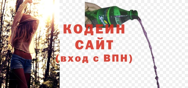 хмурый Дмитров