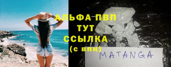 хмурый Дмитров