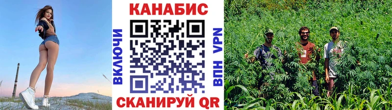купить наркотик  Приозерск  Конопля Ganja 